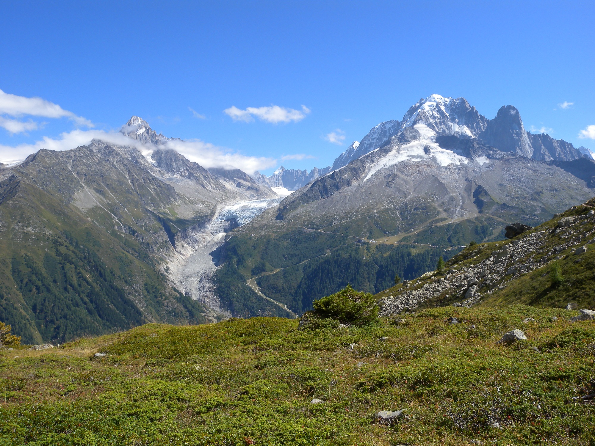 Glacier des Alpes